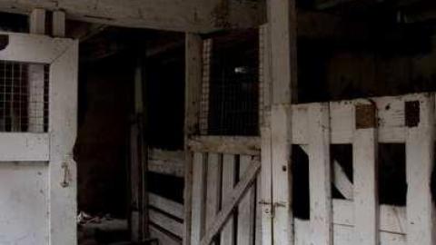 Photo from 03/29/2012