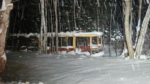 Kennaway Bush Trolley - 1000019136.jpg