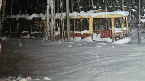 Kennaway Bush Trolley - 1000019138.jpg