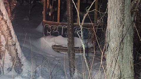 Kennaway Bush Trolley - 1000019167.jpg