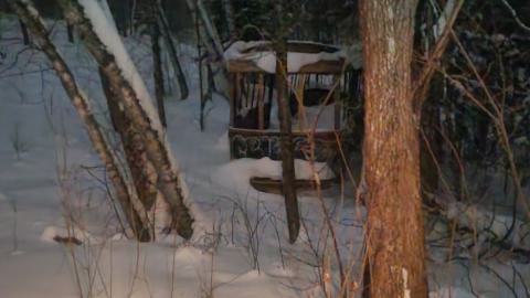 Kennaway Bush Trolley - 1000019168.jpg