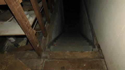January 18 2025 - basement.JPG