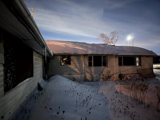 Glowing Eyes - IMG_5610.jpg