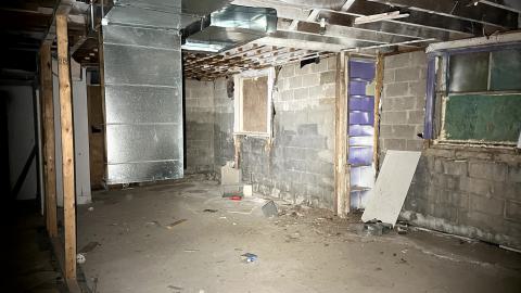 Glowing Eyes - IMG_5618.jpg