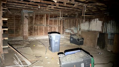 Glowing Eyes - IMG_5614.jpg