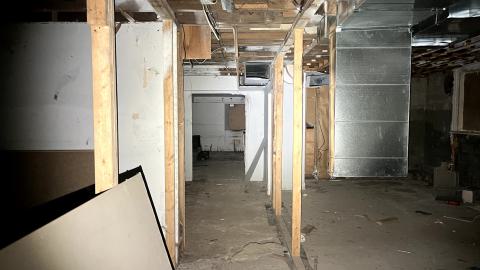 Glowing Eyes - IMG_5619.jpg