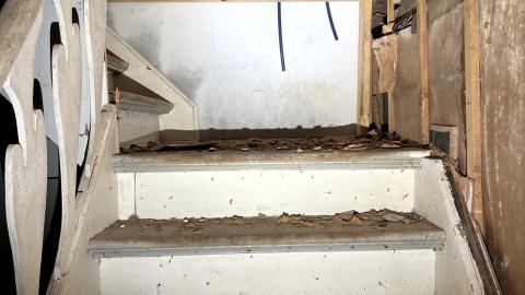 Glowing Eyes - IMG_5620.jpg