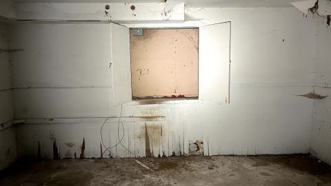 Glowing Eyes - IMG_5625.jpg