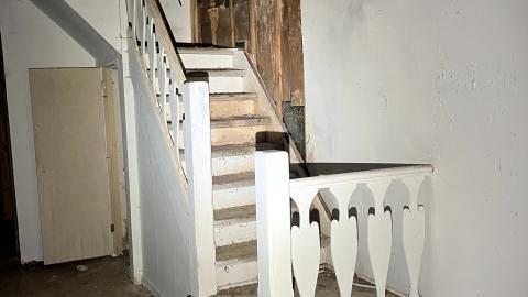 Glowing Eyes - IMG_5629.jpg