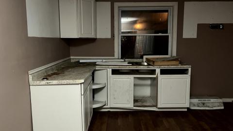 Glowing Eyes - IMG_5644.jpg