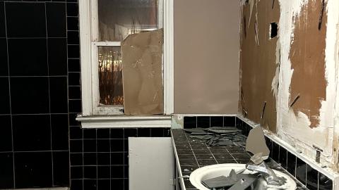 Glowing Eyes - IMG_5653.jpg