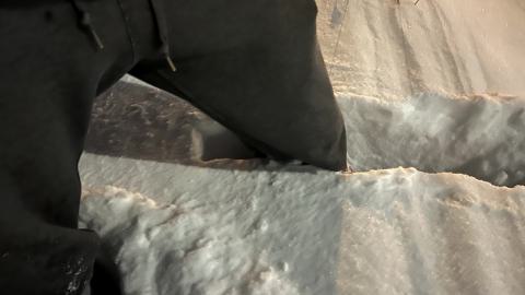 Glowing Eyes - IMG_5657.jpg