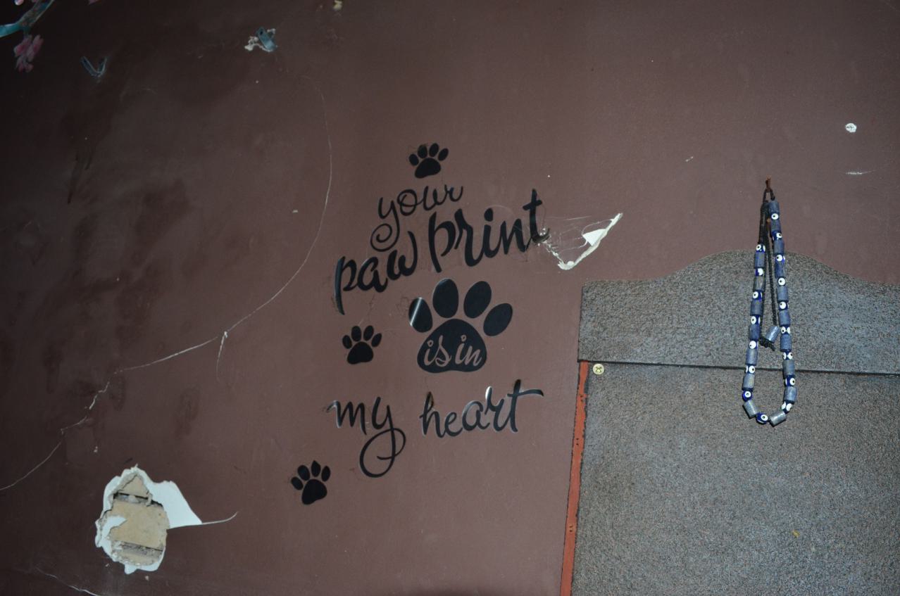 Your Next :) - DSC_0232.JPG