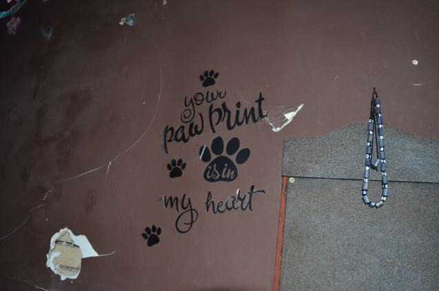 Your Next :) - DSC_0232.JPG