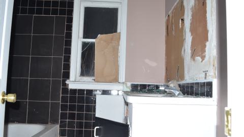 Feb '25 - DSC_0386.JPG