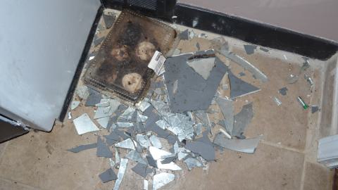 Feb '25 - DSC_0385.JPG