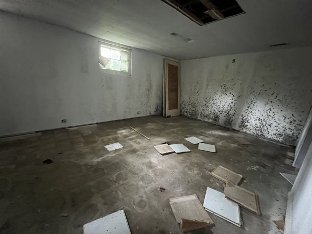 There Goes The Neighbourhood photo 4