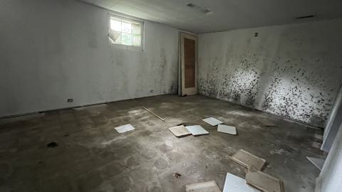 July 2023 - IMG_2839.jpeg