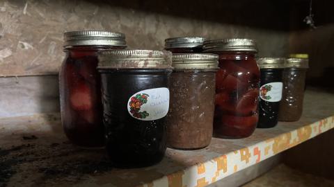 July 2023 - IMG_2887.jpeg