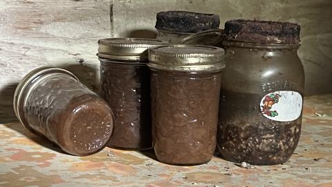 July 2023 - IMG_2886.jpeg