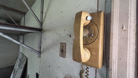 Well Preserved photo 4