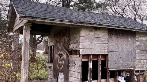 an abandoned small shed with graffiti and trash lying around