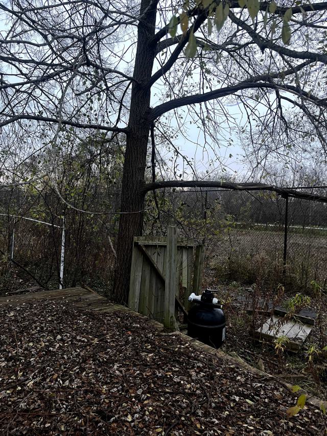 an abandoned deck covered with leaves