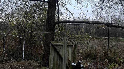 an abandoned deck covered with leaves