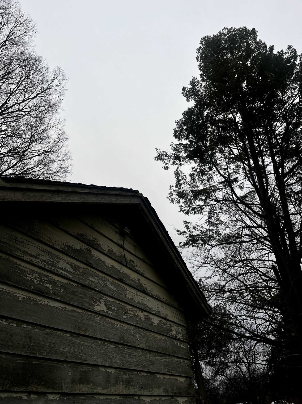 stoneybrook pool and shed - IMG_8825.jpg
