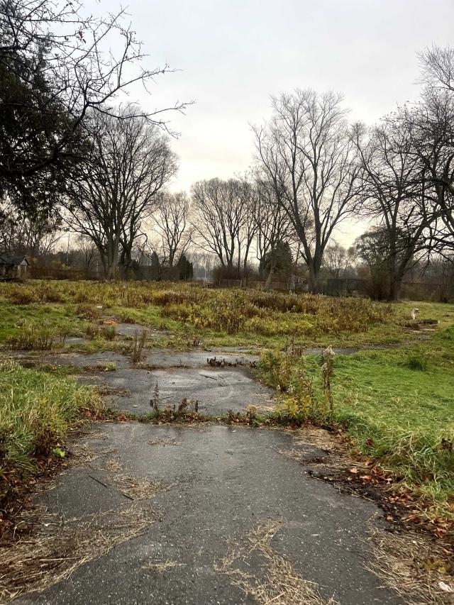 overgrown pavement
