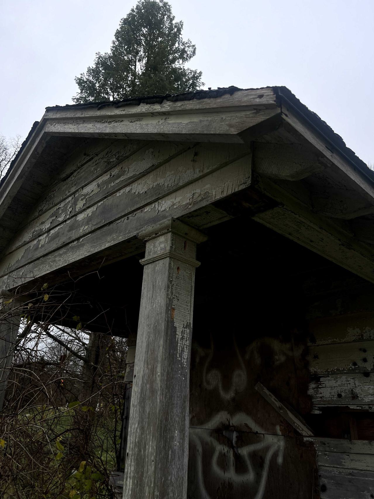 stoneybrook pool and shed - IMG_8823.jpg