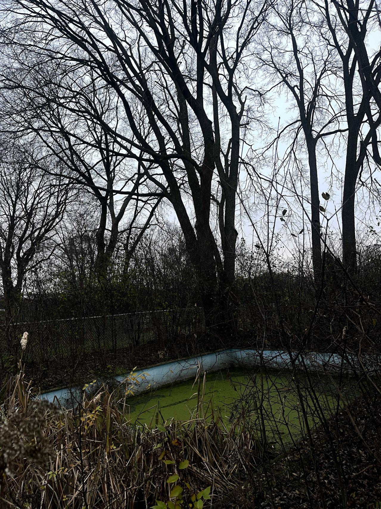 stoneybrook pool and shed - IMG_8828.jpg