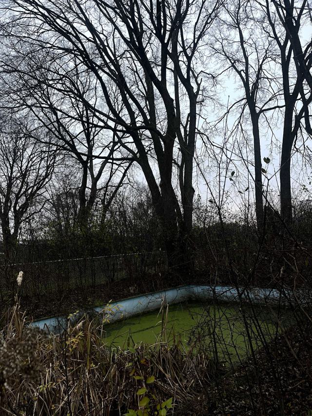 an abandoned pool filled with green water