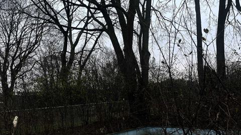 an abandoned pool filled with green water
