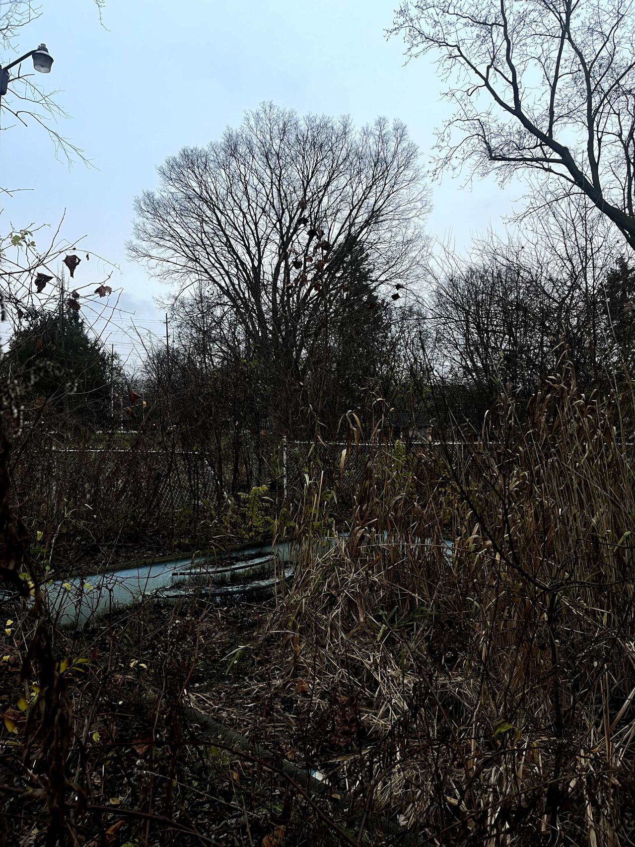 stoneybrook pool and shed - IMG_8830.jpg
