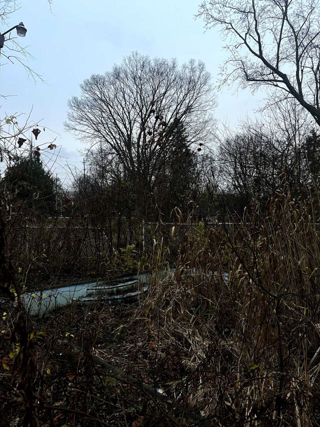 an abandoned pool with steps