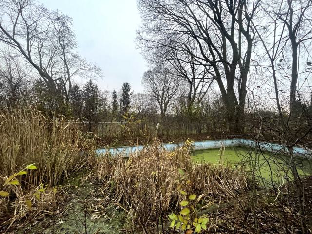 an abandoned pool filled with green water
