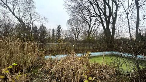 Photo from stoneybrook pool and shed