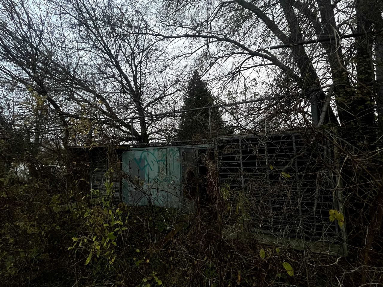 stoneybrook pool and shed - IMG_8838.jpg