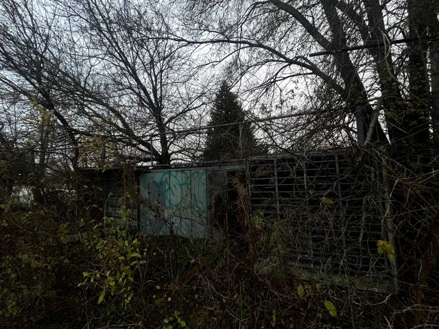 an overgrown fence