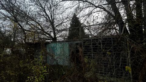 an overgrown fence