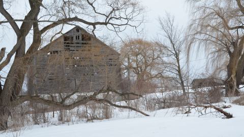 Mr. Barn Best Poser - DSC_0647.JPG