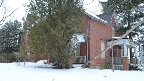 Mr. Barn Best Poser - DSC_0646.JPG