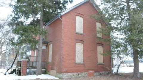Mr. Barn Best Poser - DSC_0645.JPG