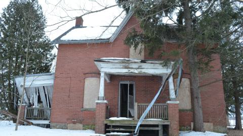 Mr. Barn Best Poser - DSC_0644.JPG