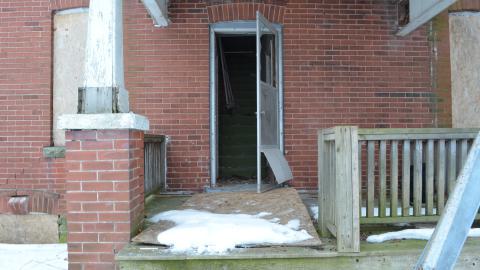 Mr. Barn Best Poser - DSC_0643.JPG