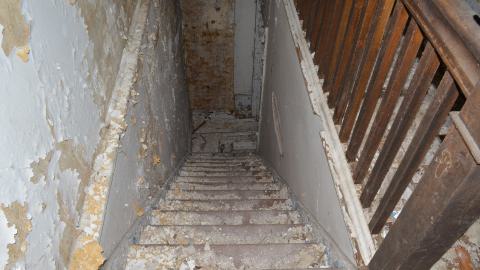 Mr. Barn Best Poser - DSC_0642.JPG