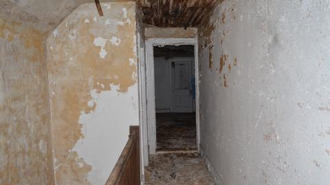 Mr. Barn Best Poser - DSC_0641.JPG