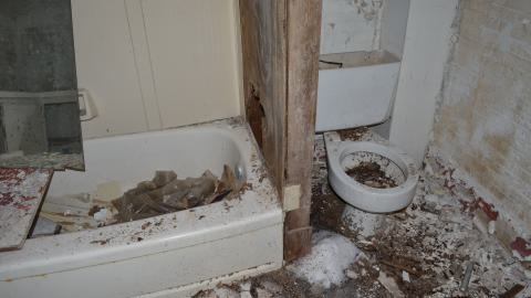 Mr. Barn Best Poser - DSC_0640.JPG