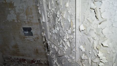 Mr. Barn Best Poser - DSC_0639.JPG